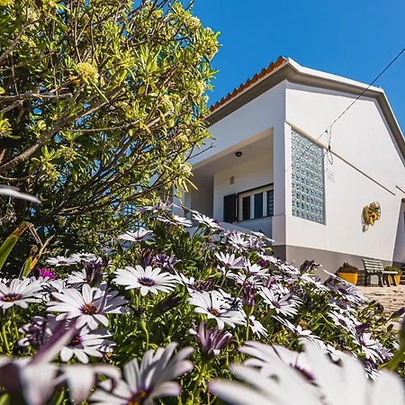Casa A Beira Mar - With Ocean View
