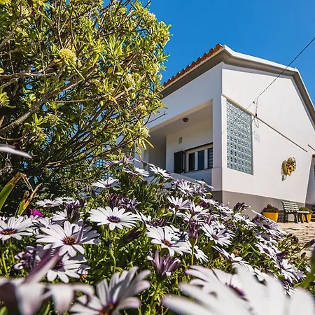 Casa A Beira Mar - With Ocean View *